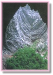 �ع�ͨ����ԭʼɭ��