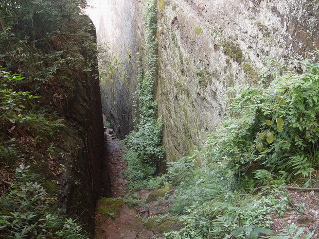 �ع����˶�