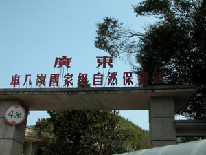 �عس�������Ȼ������