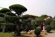 �麣ũҵ��ѧ�о�����