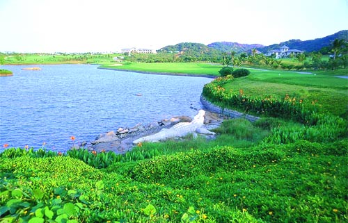 ��ͷ���Ÿ߶�����ֲ�