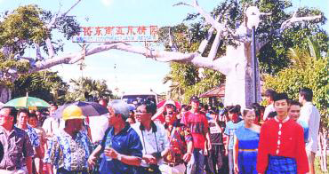 ���ź��ȶ����Ƿ���԰