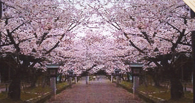 ������Ȫ��̬���ζɼٴ�