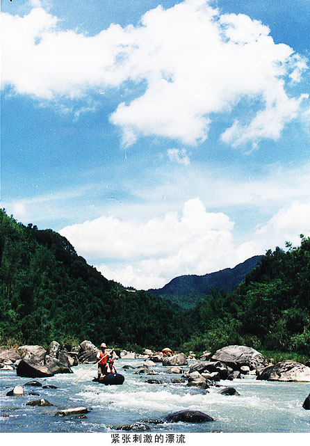 ÷�ݷ�˳������Ư��