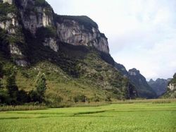 �㶫ʡ½����