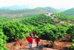 ��Զ�ؼι۹��԰