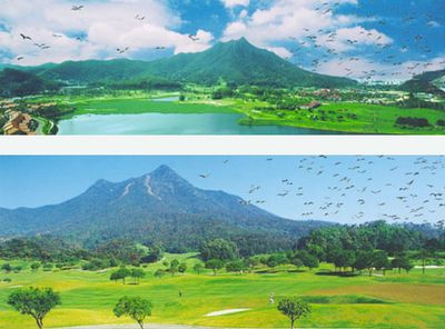 ��ݸ����ɽ