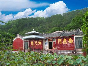 ����Т����