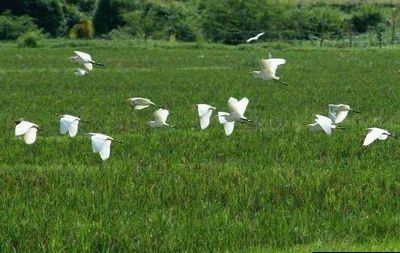 ���ݰ�������