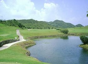 �㶫����߶�����ֲ�