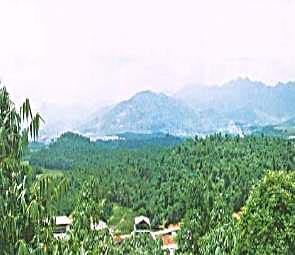 ����������̬ũҵ�۹�