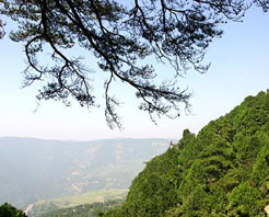 ̫ԭ�����˾�