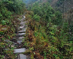 ��ͬ������ʤ