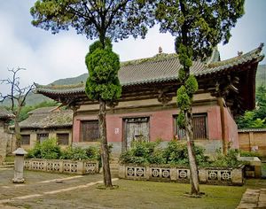 �����г�����