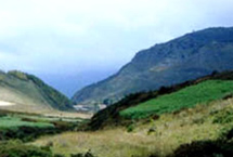 ����̫��ɽɭ�ֹ�԰