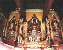 ���ǳ�����