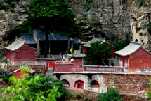 ������꽹�