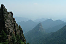 ������կ