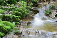 ������Ȫ��