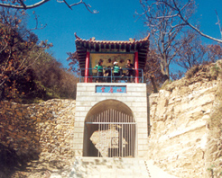 ���л�������