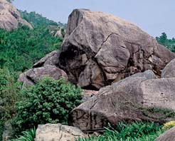 ���е�һ������ʯ