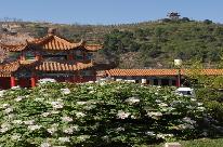 �ٷڹ�������ĵ������