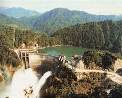 �ٷ���������Ȫ