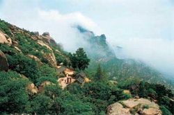 ��������ɽ��ַ