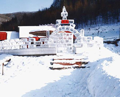 ǧҶ����ѩ��