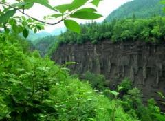 ���ֳ�����´