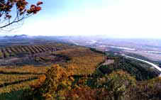 �ӱ߲�ñ��Ȫ