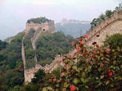 �ӱߴ��̨��ַ