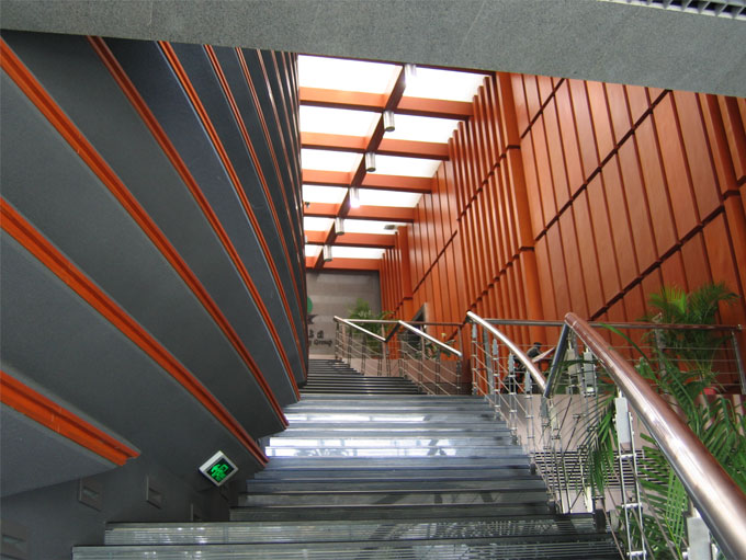 ����������Ĳ����