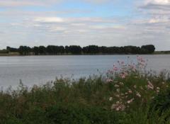 ������������ι�԰