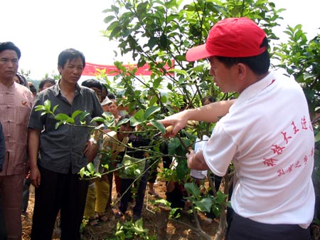 ������ʡũ��Ժ԰�շ�Ժ