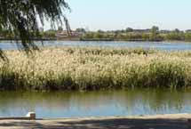 �������ɭ�ֹ�԰