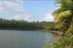 ������㶺�