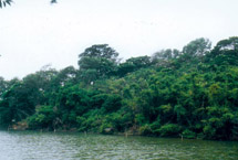 ��������ɽ