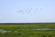 �׸��ܱ�έ��Ұ��ˮ����Ϣ��