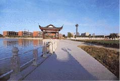 ����󻯹�԰