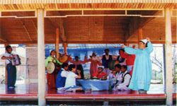 �����������԰