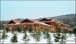 ������̬������