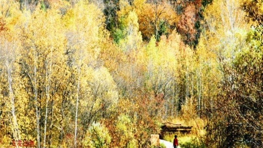 ������Ϫ������ȼٴ�