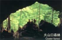 ������ɽ��