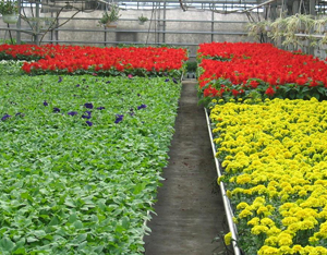 ĵ��������԰��ʾ��԰