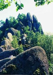 ĵ����������