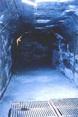 ĵ���������վ��ֻ�Ҫ��