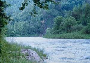 ������ش�մ�ӹ���ɭ�ֹ�԰