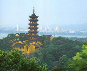 �Ͼ�������