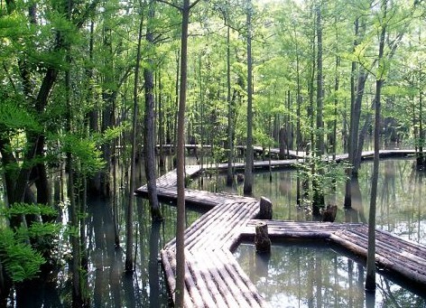 �Ͼ�����ɽ